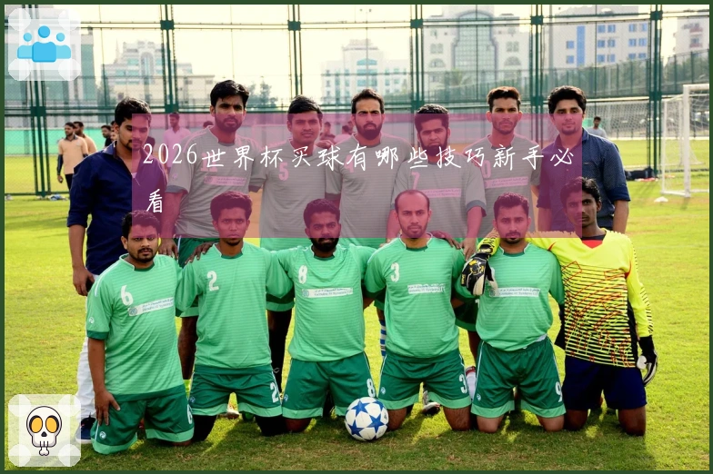 2026世界杯买球有哪些技巧新手必看