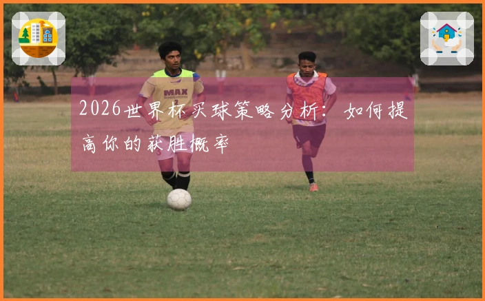 2026世界杯买球策略分析：如何提高你的获胜概率