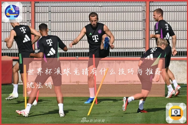 世界杯滚球竞猜有什么技巧与推荐玩法吗