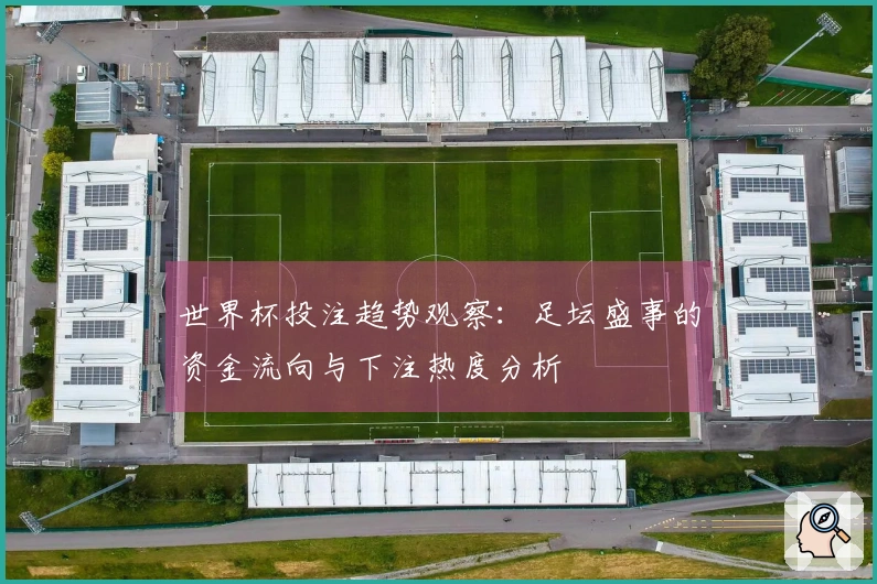 世界杯投注趋势观察：足坛盛事的资金流向与下注热度分析