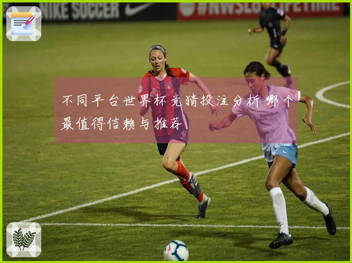 不同平台世界杯竞猜投注分析 哪个最值得信赖与推荐
