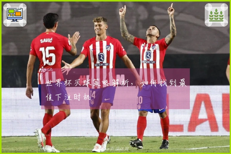 世界杯买球策略解析，如何找到最佳下注时机