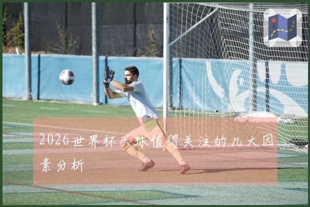 2026世界杯买球值得关注的几大因素分析