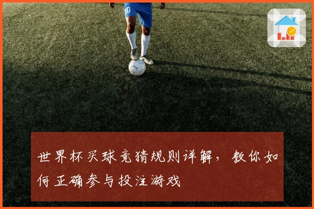 世界杯买球竞猜规则详解，教你如何正确参与投注游戏