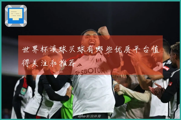 世界杯滚球买球有哪些优质平台值得关注和推荐