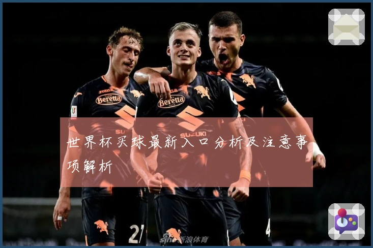 世界杯买球最新入口分析及注意事项解析