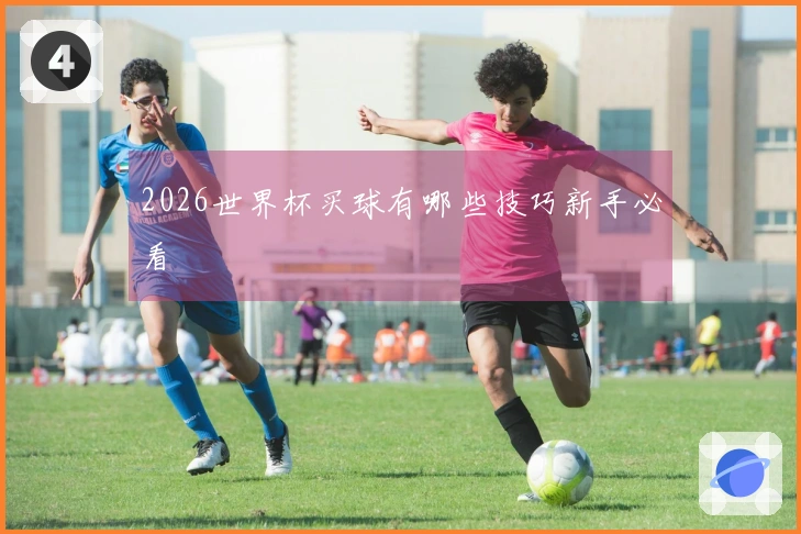 2026世界杯买球有哪些技巧新手必看