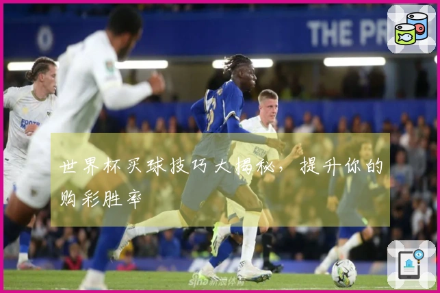 世界杯买球技巧大揭秘,提升你的购彩胜率