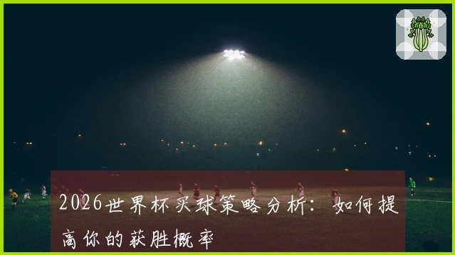 2026世界杯买球策略分析：如何提高你的获胜概率