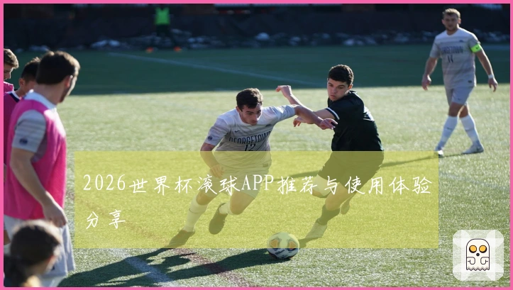 2026世界杯滚球APP推荐与使用体验分享
