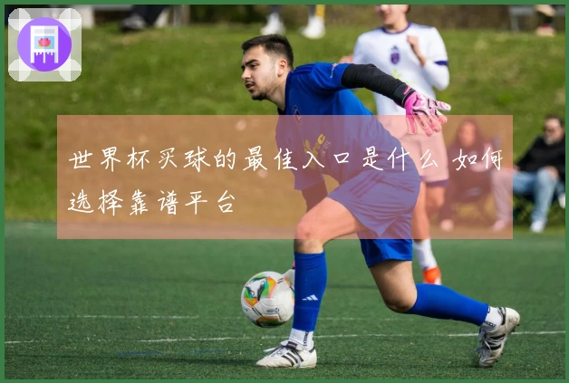 世界杯买球的最佳入口是什么 如何选择靠谱平台