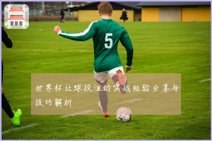 世界杯让球投注的实战经验分享与技巧解析