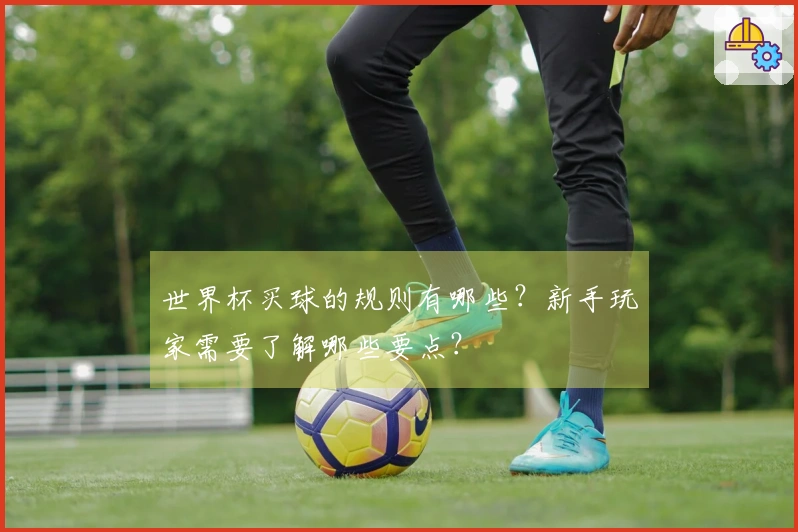 世界杯买球的规则有哪些？新手玩家需要了解哪些要点？