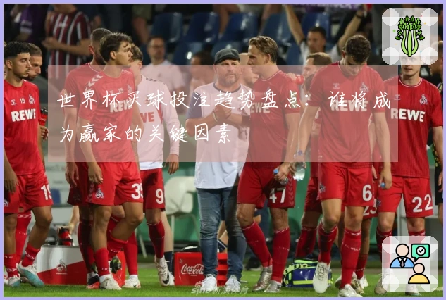 世界杯买球投注趋势盘点:谁将成为赢家的关键因素