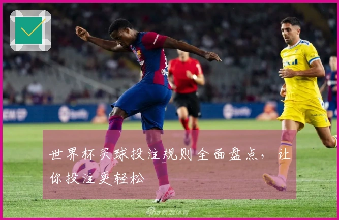 世界杯买球投注规则全面盘点，让你投注更轻松