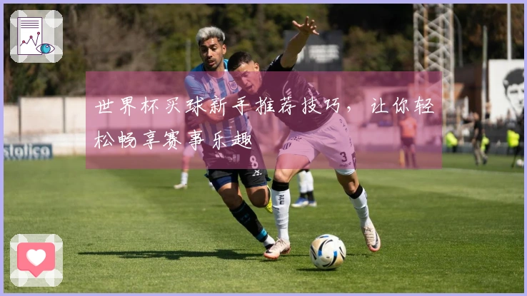 世界杯买球新手推荐技巧，让你轻松畅享赛事乐趣