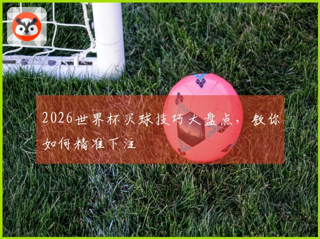 2026世界杯买球技巧大盘点，教你如何精准下注
