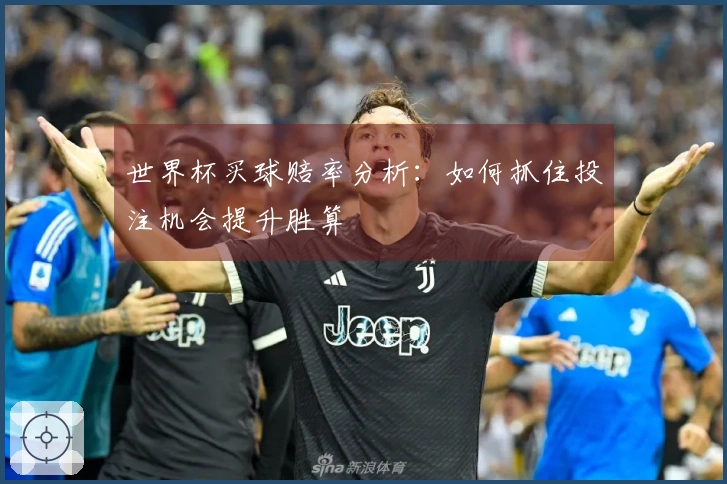 世界杯买球赔率分析：如何抓住投注机会提升胜算